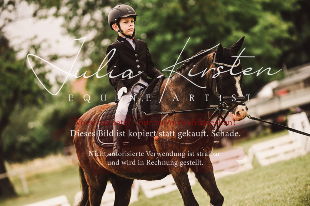 DSC_5328 | Pferde- und Turnierfotografie in Westsachsen. Pferdeportraits, Auftragszeichnungen und intuitive Kunst.