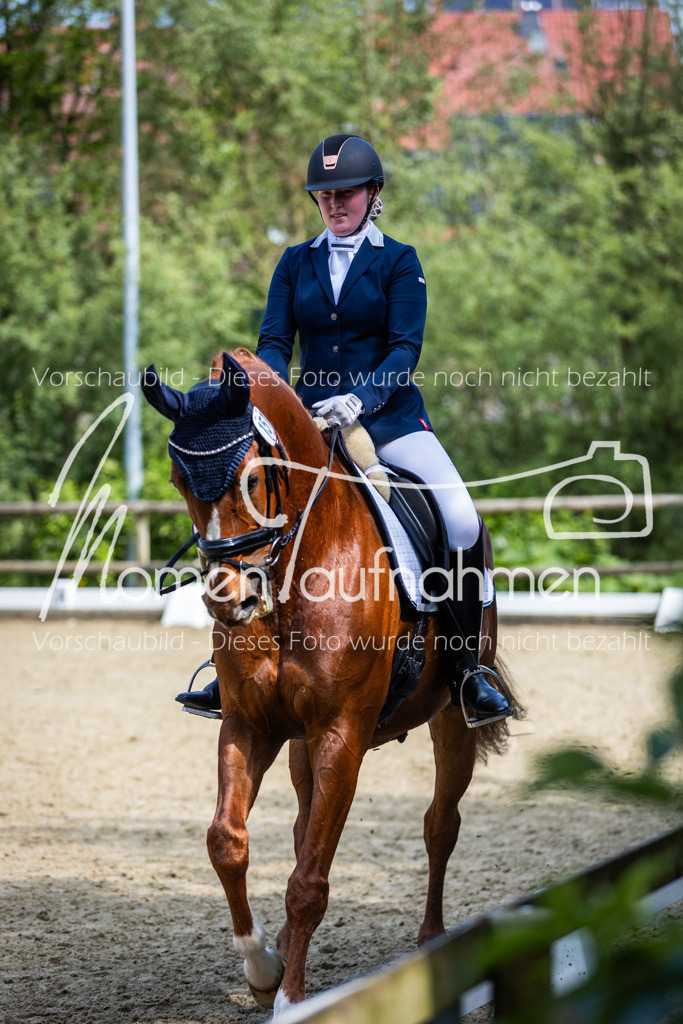 Donop24-L-Dre-010 | MomenTaufnahmen Pferdesportfotos