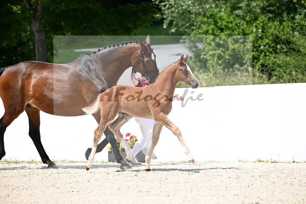 Untouchable x Contender_HF_Weber_13251264 | hf-fotografie - Realizzato con Pictrs.com