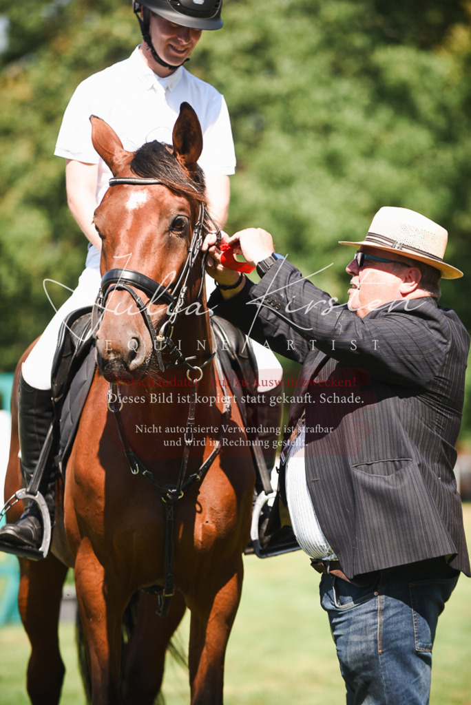 DSC_2945 | Pferde- und Turnierfotografie in Westsachsen. Pferdeportraits, Auftragszeichnungen und intuitive Kunst.