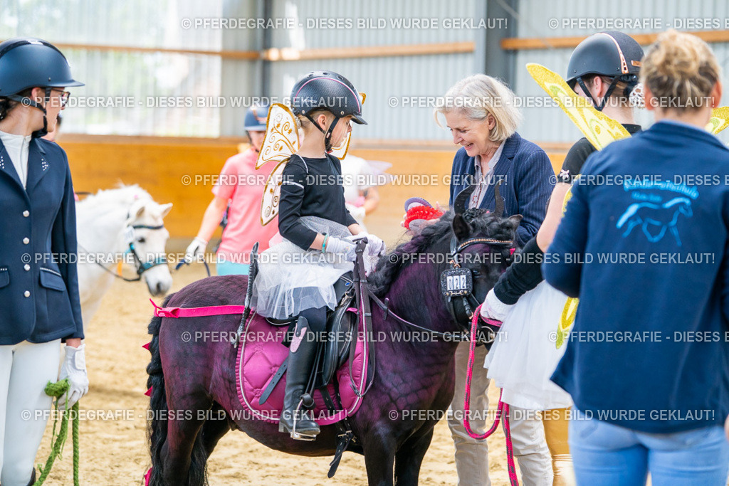 DSC00255 | Pferdegrafie