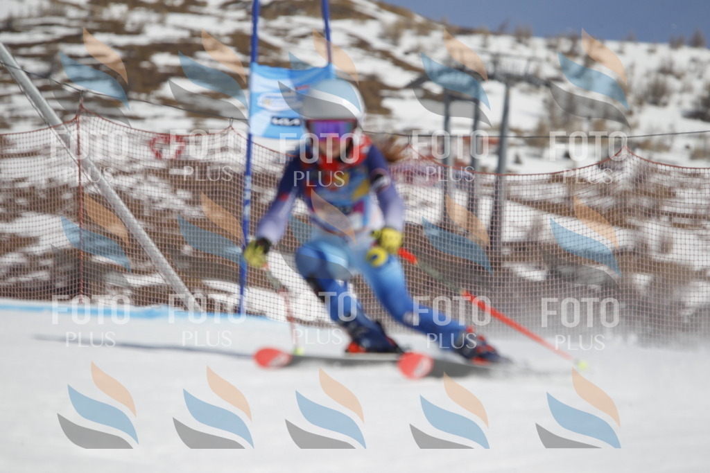 _U3G0136 | holidayphoto