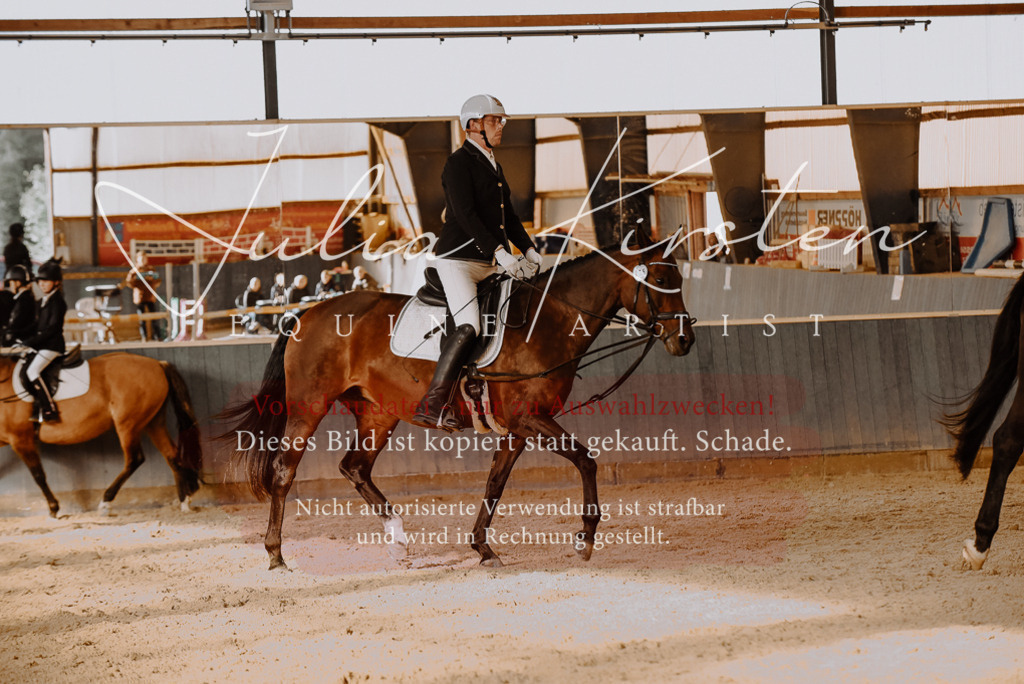 DSC_7555 | Pferde- und Turnierfotografie in Westsachsen. Pferdeportraits, Auftragszeichnungen und intuitive Kunst.