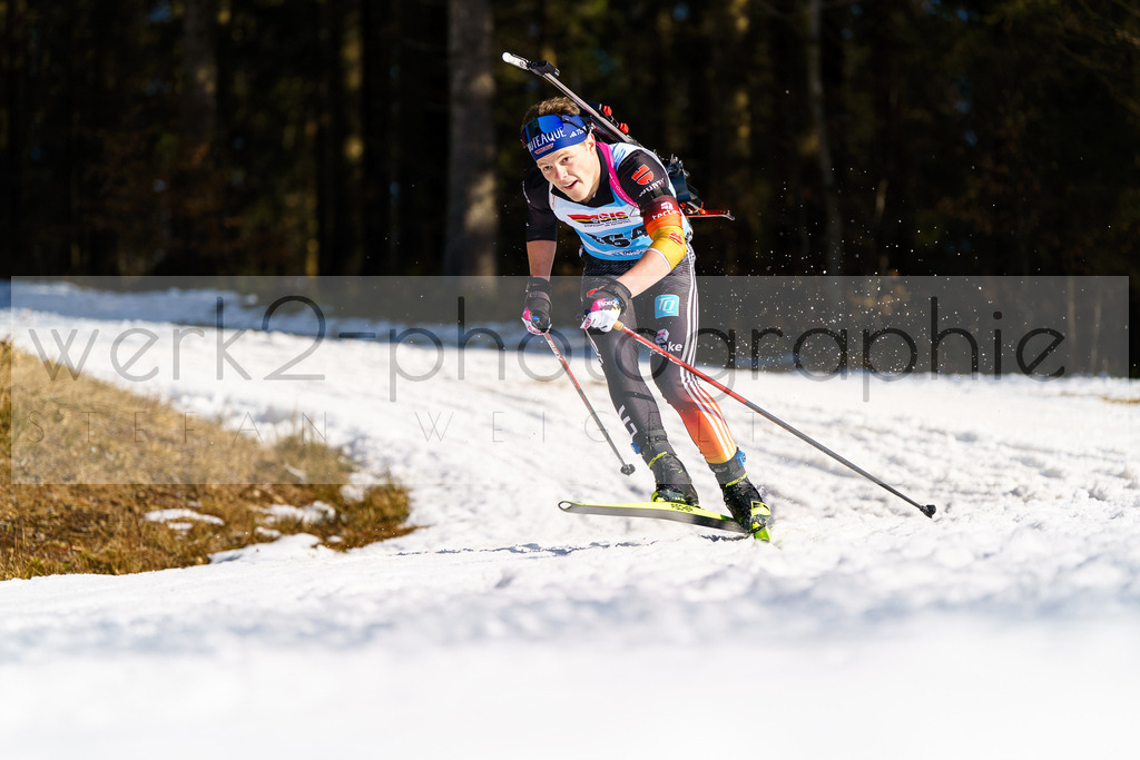 FESA Alpencup / DP Notschrei | Deutschland Pokal Finale im Schwarzwald NORDIC-CENTER Notschrei am 7. - 8. Februar 2026