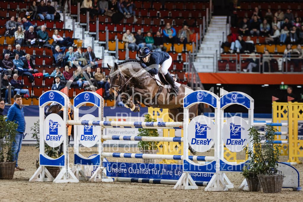 250108_Muenster_Hengstpräsentation-184 | Deine schönsten Turniermomente als professionelle Fotos! Entdecke hochwertige Pferdesport-Fotografie im Online-Shop. Jetzt Fotos finden & bestellen!