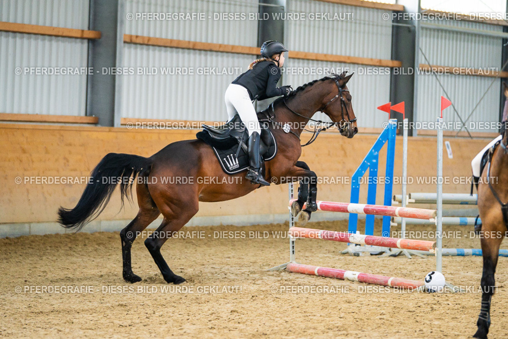 DSC00618 | Pferdegrafie