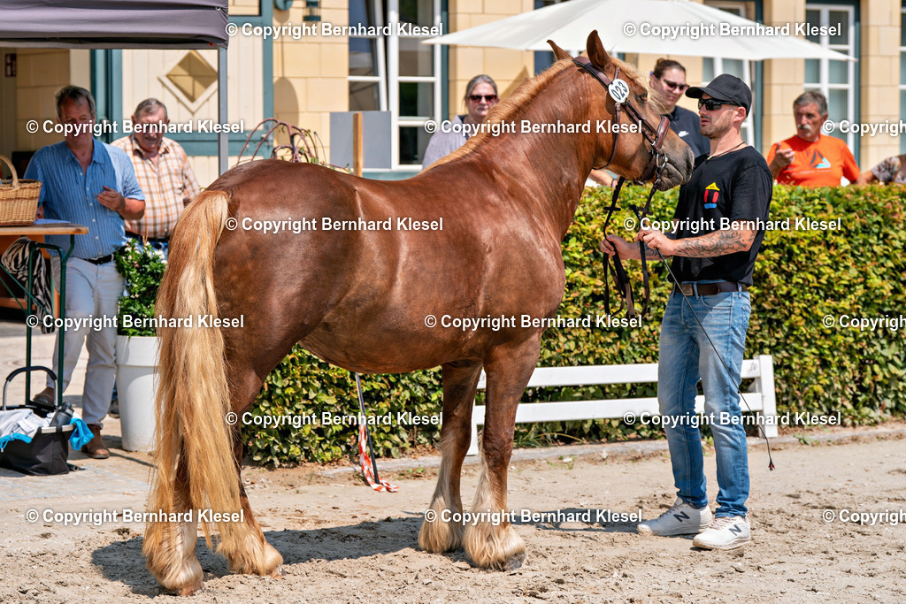 2A900795 | foto-team-bernhard - Realisiert mit Pictrs.com