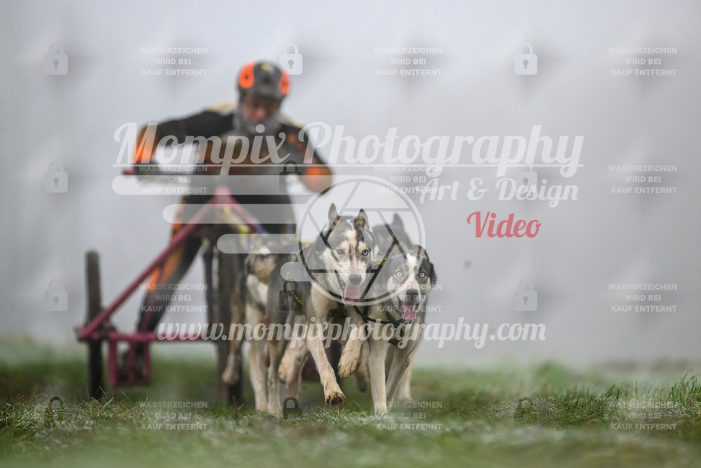 MompixPhotography_CDF2023_FFST_Di_Kart-13 | PayLife