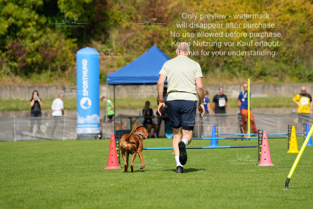 Samstag_Hürden (36 von 1617) | stephaniefillaphotographie - Realisiert mit Pictrs.com