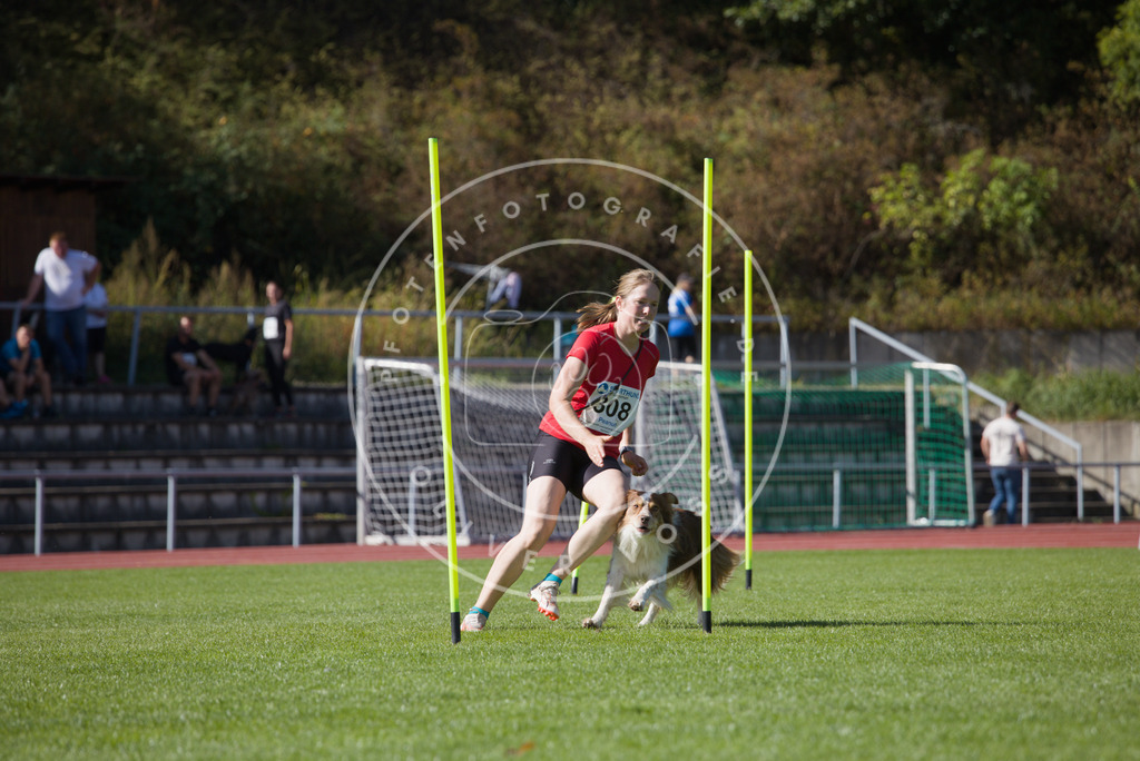 0L8A8064 | Hundefotografie, Tierfotograf, Pfotenfotografie, Fotoshooting Hund, Hunde Portrait, Hundesport, Hundeportraits, Heideshooting, Hunde, Sportfotograf, Hundefotograf, Turnierhundsport, THS,  - Realisiert mit Pictrs.com