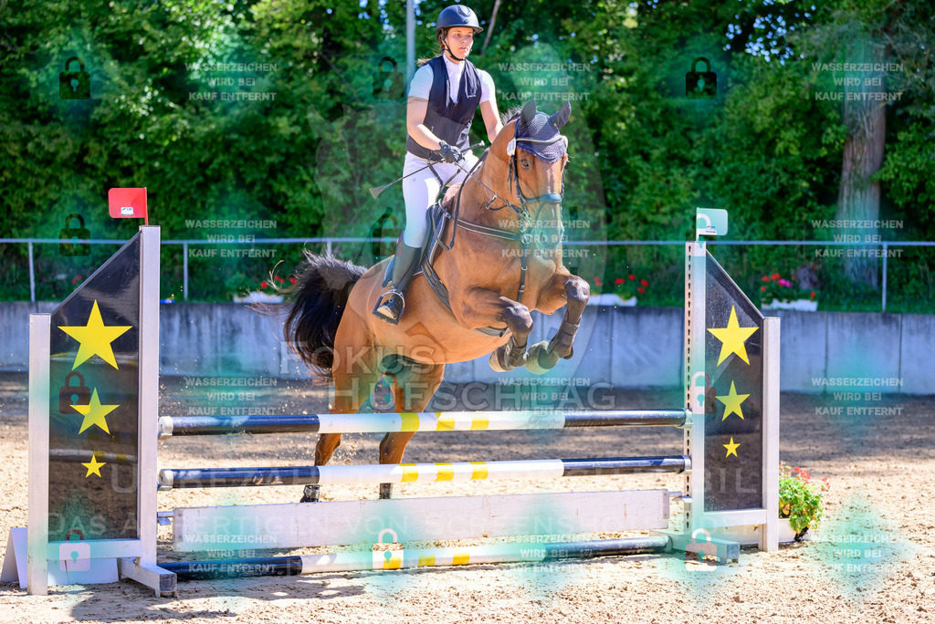29082026-Giesenbach-Prfg10-0543 | Fokus Hufschlag Fotografie - Realisiert mit Pictrs.com