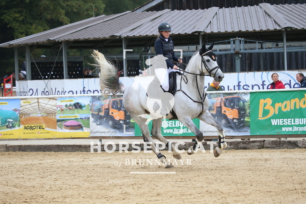 DL2Q1140 | Willkommen bei Brunnmayr - Design & Fotografie – Ihrem Spezialisten für Reitturniere und Pferdeveranstaltungen in Oberösterreich, Salzburg und Bayern! Seit über 17 Jahren sind wir leidenschaftlich dabei.