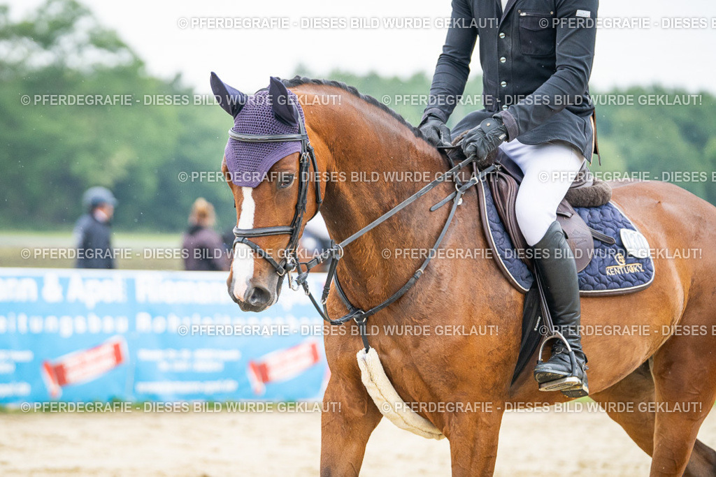 DSC00548 | Pferdegrafie