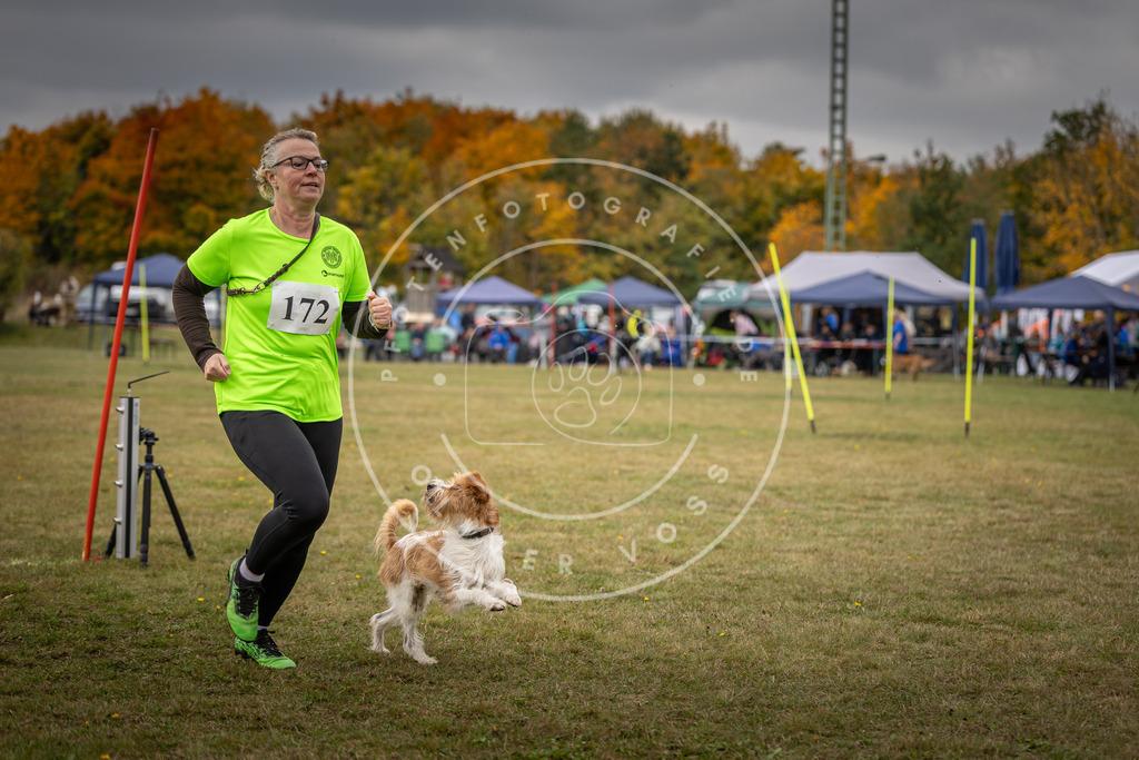 Pfotenfotografie_DV3A5931 | Hundefotografie, Tierfotograf, Pfotenfotografie, Fotoshooting Hund, Hunde Portrait, Hundesport, Hundeportraits, Heideshooting, Hunde, Sportfotograf, Hundefotograf, Turnierhundsport, THS,  - Realisiert mit Pictrs.com