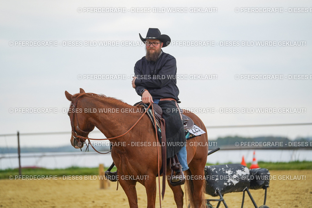 DSC08275 | Pferdegrafie