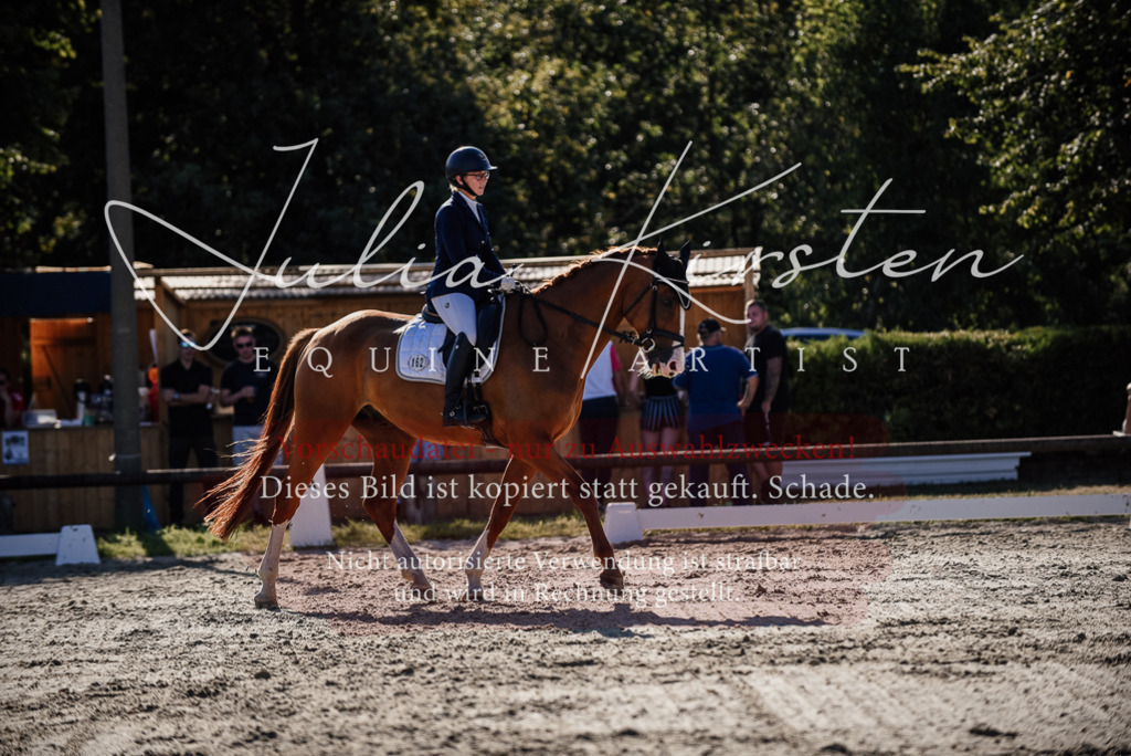 DSC_0465 | Pferde- und Turnierfotografie in Westsachsen. Pferdeportraits, Auftragszeichnungen und intuitive Kunst.