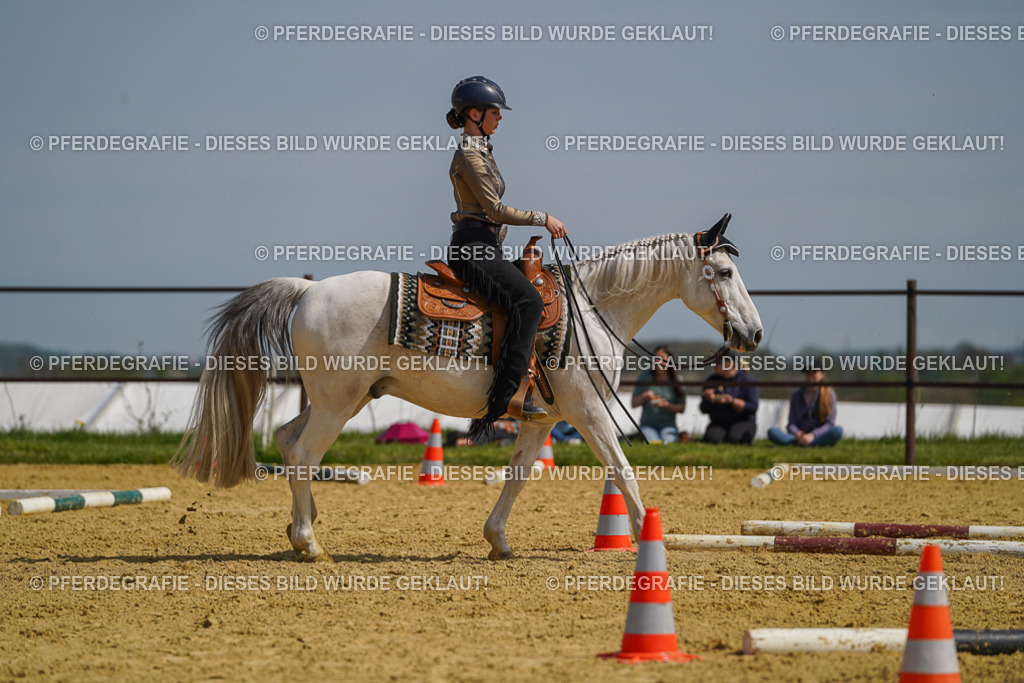 DSC04715 | Pferdegrafie