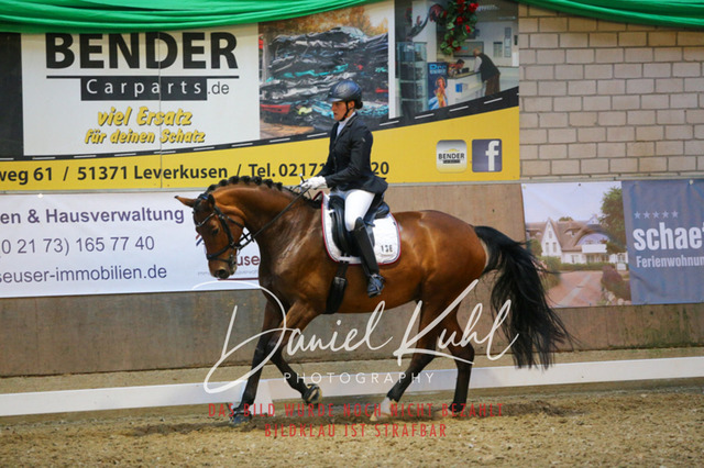 IMG_2982 | Turnierfotos kaufen im Webshop von Daniel Kuhl Photography – entdecke professionelle Reitsportfotos aus Turnieren & Events. Hochwertige Turnierbilder online bestellen & sichern. Jetzt Fotos von Reitsportturnieren kaufen!