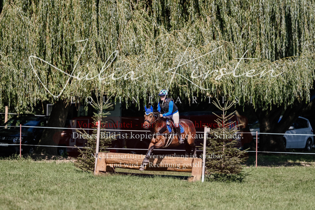 DSC_3113 | Pferde- und Turnierfotografie in Westsachsen. Pferdeportraits, Auftragszeichnungen und intuitive Kunst.