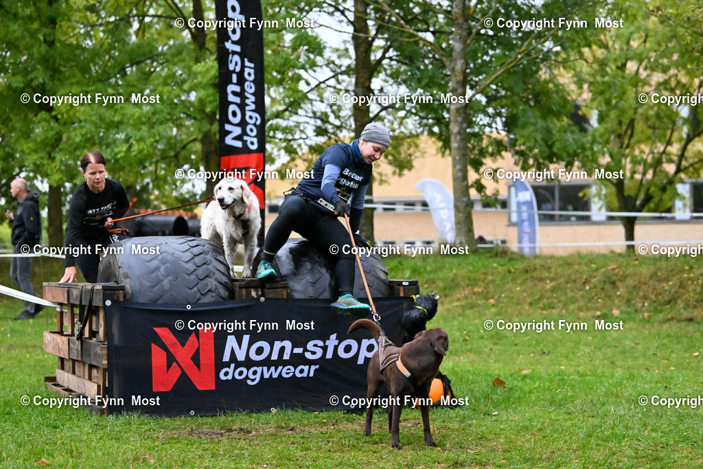 DSC_1532 | Hallo und herzlich Willkommen auf meiner Shop-Seite Fynn Most.

Ich wünsche Dir viel Spaß beim stöbern durch die Bilder, wenn Du Fragen hast oder Bilder vermisst, kannst du mir gerne eine Nachricht schreiben. - Realized with Pictrs.com