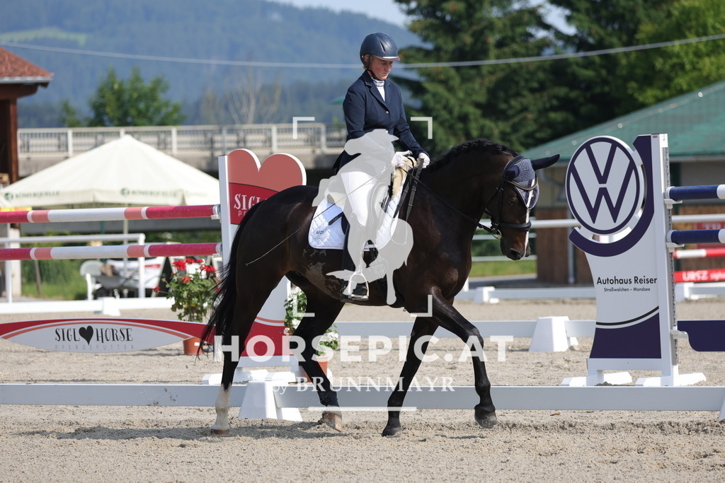 0P6A4522 | Willkommen bei Brunnmayr - Design & Fotografie – Ihrem Spezialisten für Reitturniere und Pferdeveranstaltungen in Oberösterreich, Salzburg und Bayern! Seit über 17 Jahren sind wir leidenschaftlich dabei.
