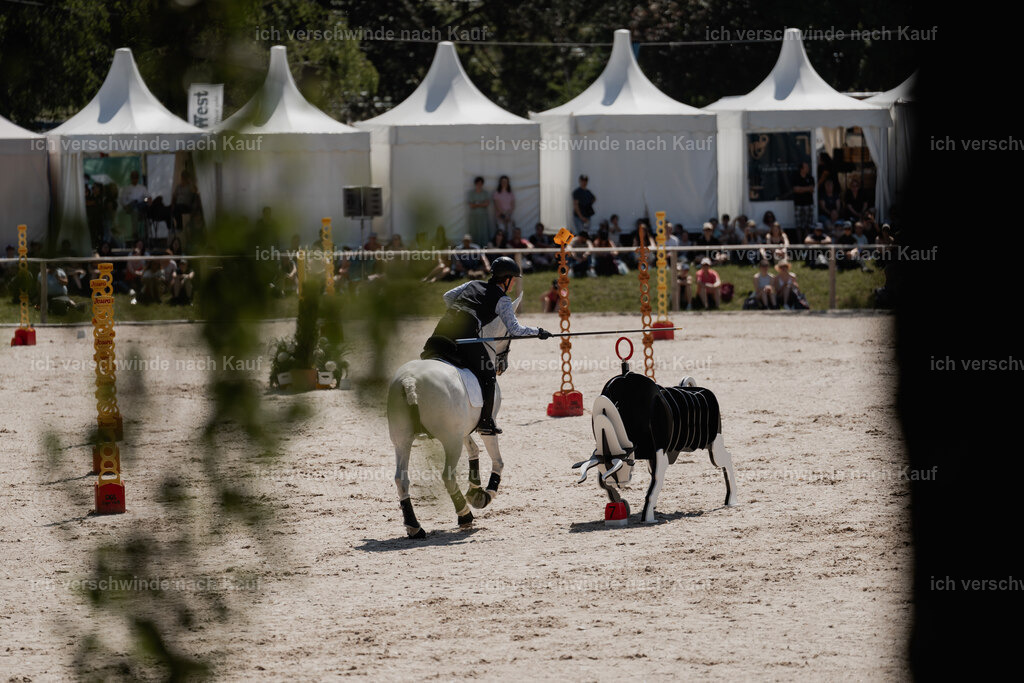 7C_03595 | Pferd International München 2025