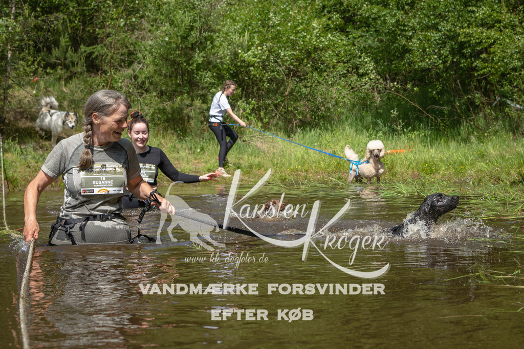 1216DKK992414 | kk-dogfotos