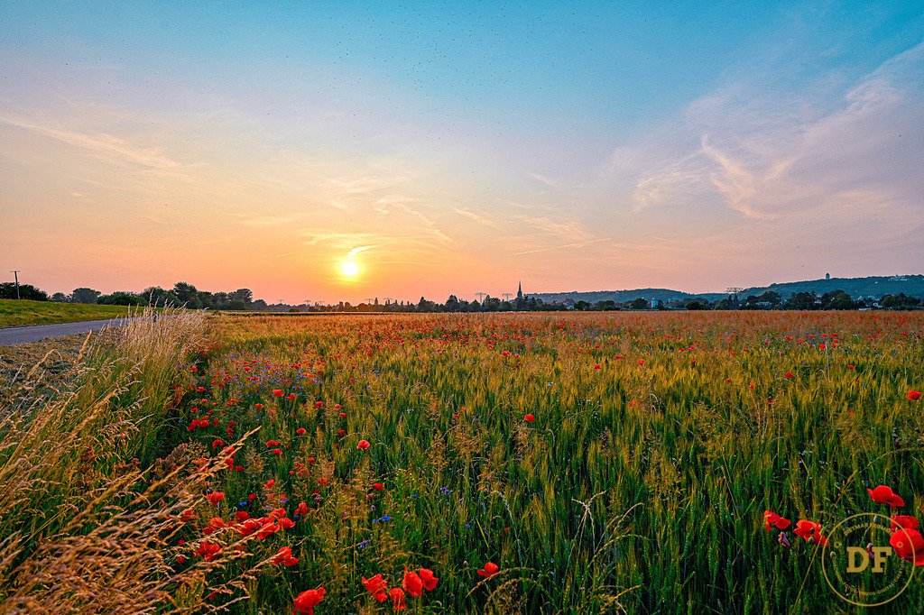 LR-1-8718-Lumin20250413 | Geschenke, Wandbilder und Accessoires mit Motiven aus Dresden und anderen schönen Orten zur Verschönerung Deines zu Hauses und zum verschenken gewünscht? Wähle Deine Lieblingsbild auf dem Produkt Deiner Wahl. 