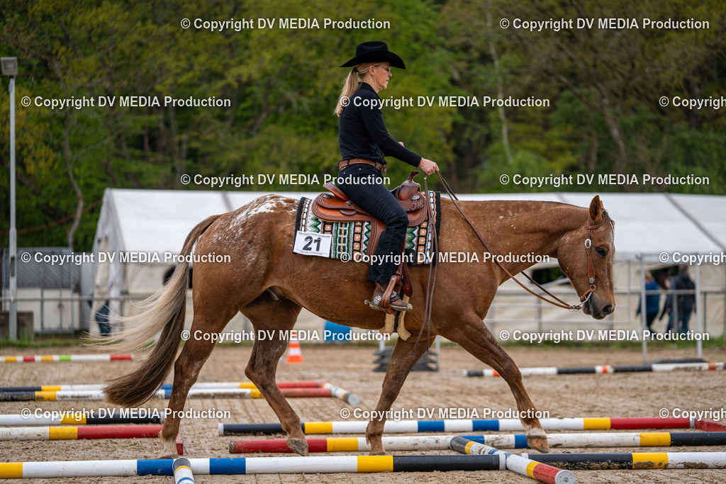 Heiligenwald Tag 1-125 | dv-media-shop - Realisiert mit Pictrs.com