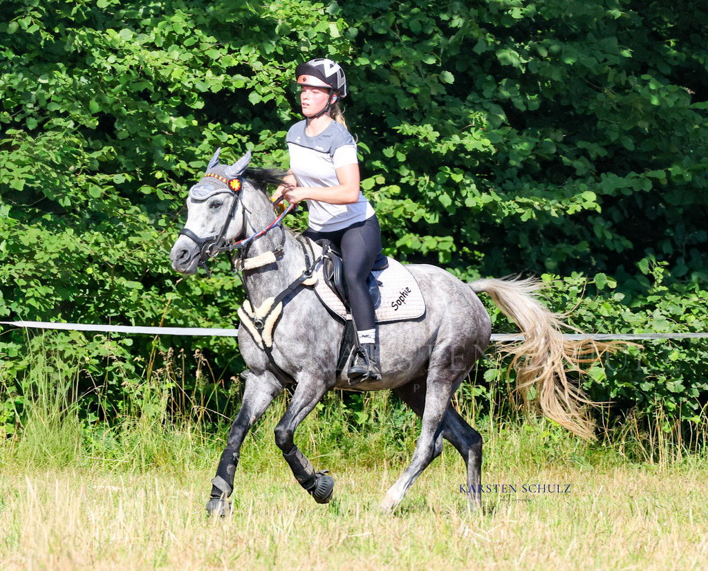 1B3A8241 | Reitsport Reiten