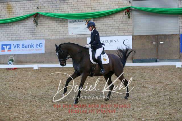IMG_2680 | Turnierfotos kaufen im Webshop von Daniel Kuhl Photography – entdecke professionelle Reitsportfotos aus Turnieren & Events. Hochwertige Turnierbilder online bestellen & sichern. Jetzt Fotos von Reitsportturnieren kaufen!