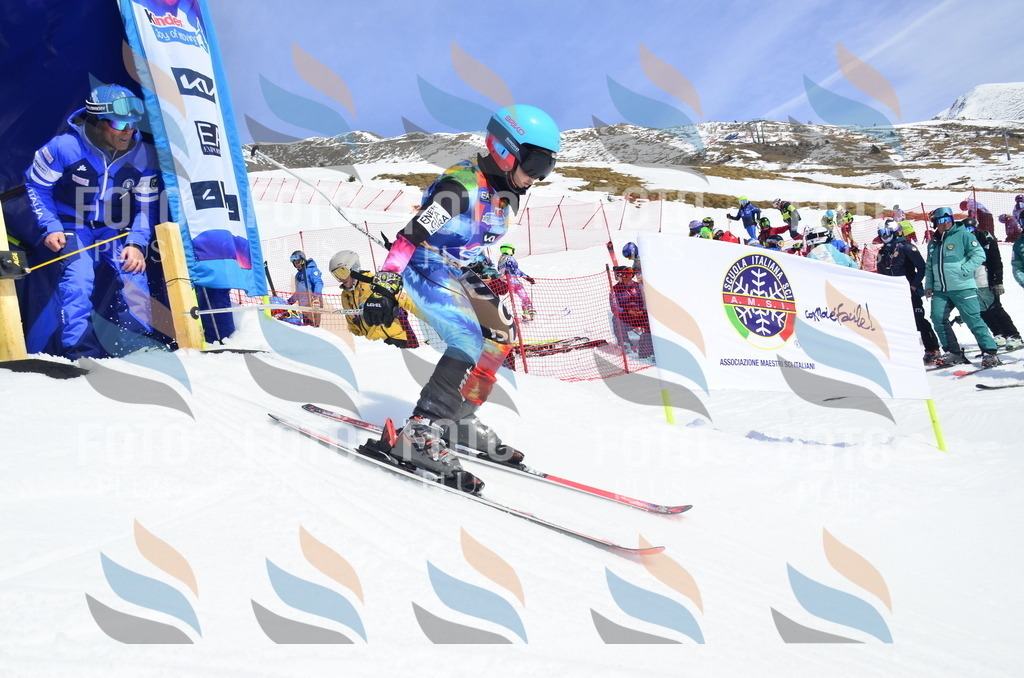 _ELE1754 | holidayphoto