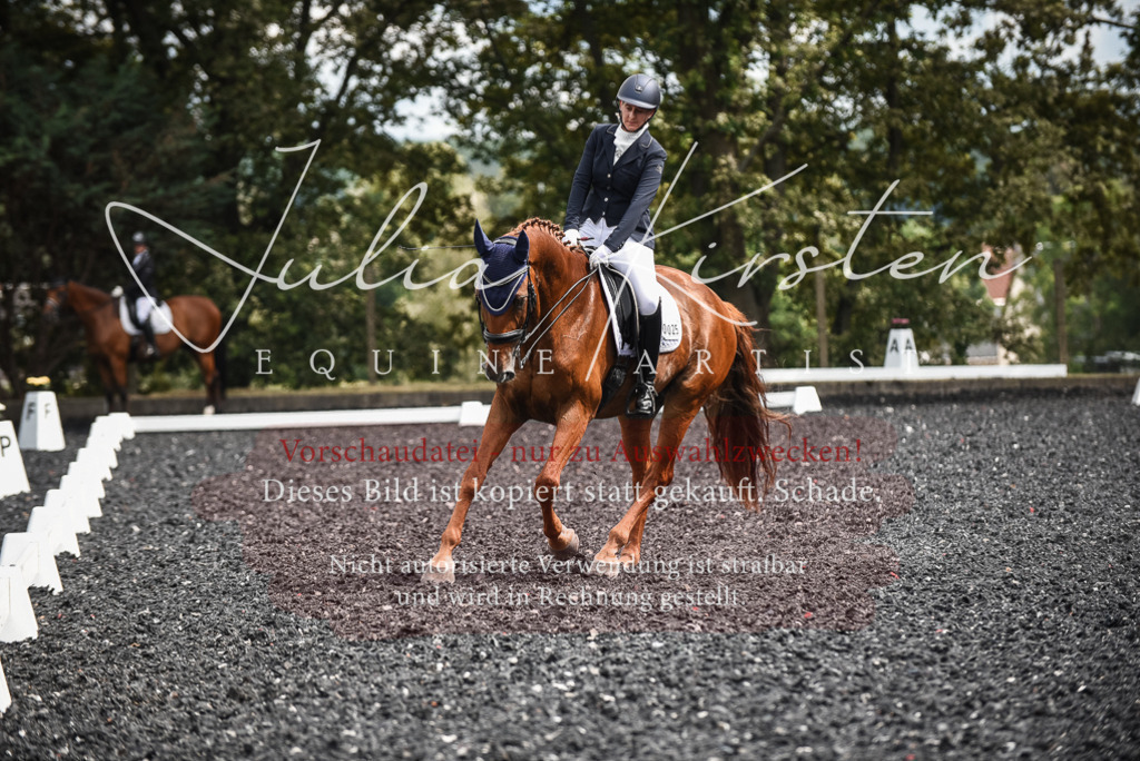DSC_5051 | Pferde- und Turnierfotografie in Westsachsen. Pferdeportraits, Auftragszeichnungen und intuitive Kunst.