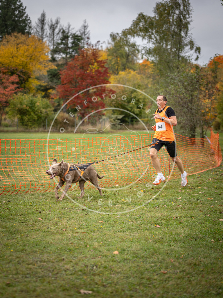 Pfotenfotografie_DV3A2746 | Hundefotografie, Tierfotograf, Pfotenfotografie, Fotoshooting Hund, Hunde Portrait, Hundesport, Hundeportraits, Heideshooting, Hunde, Sportfotograf, Hundefotograf, Turnierhundsport, THS,  - Realisiert mit Pictrs.com