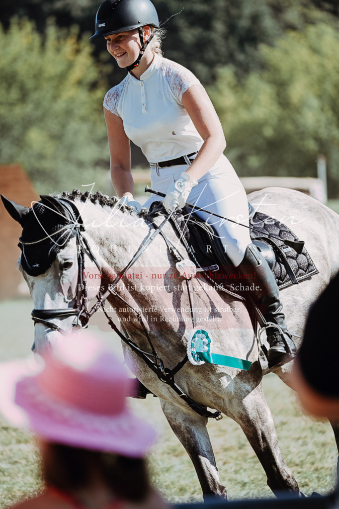 DSC_7003 | Pferde- und Turnierfotografie in Westsachsen. Pferdeportraits, Auftragszeichnungen und intuitive Kunst.