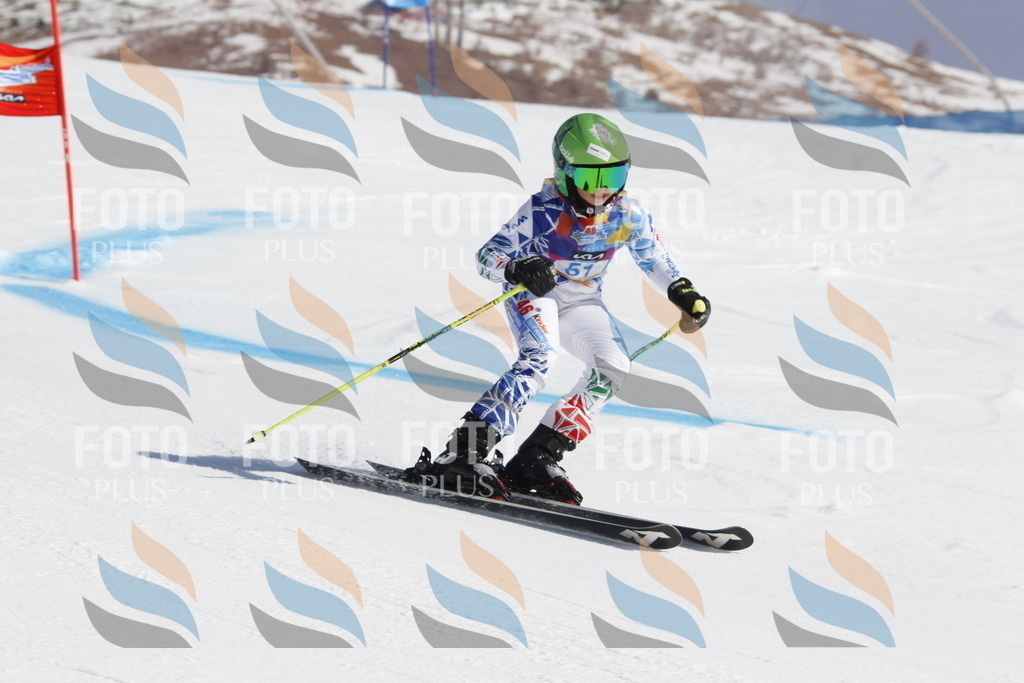 _U3G9429 | holidayphoto