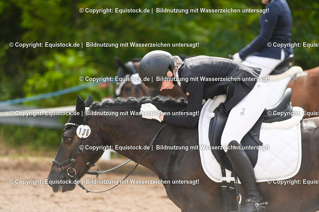20230716_04_Dressurreiterprüfung Kl.A_0324 | equistock