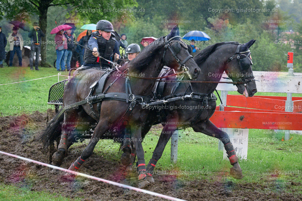 015_Brümmer_Matthias_Gelände-M_Pferde_2Sp_250726_08 | gis-fotografie