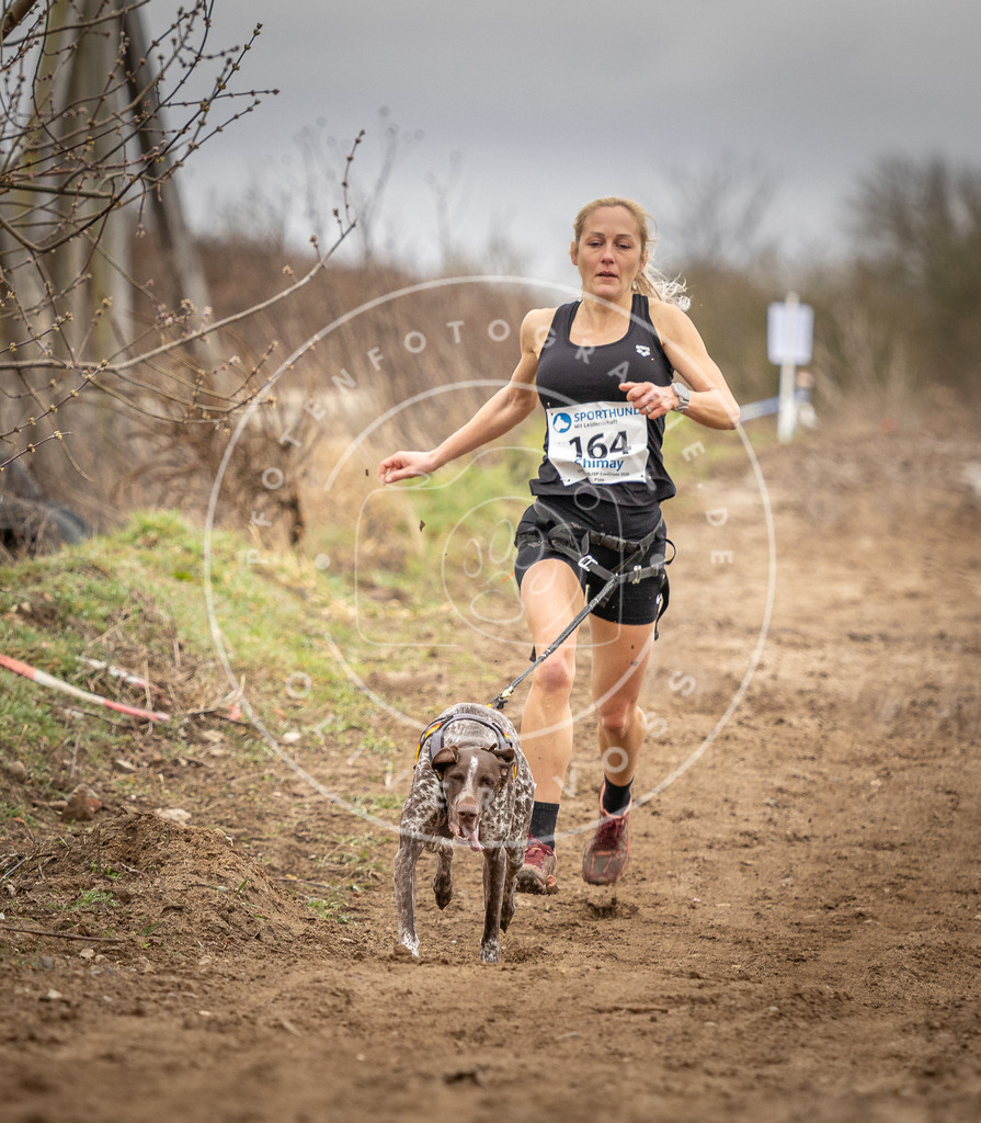 DV3A1786 | Hundefotografie, Tierfotograf, Pfotenfotografie, Fotoshooting Hund, Hunde Portrait, Hundesport, Hundeportraits, Heideshooting, Hunde, Sportfotograf, Hundefotograf, Turnierhundsport, THS,  - Realisiert mit Pictrs.com