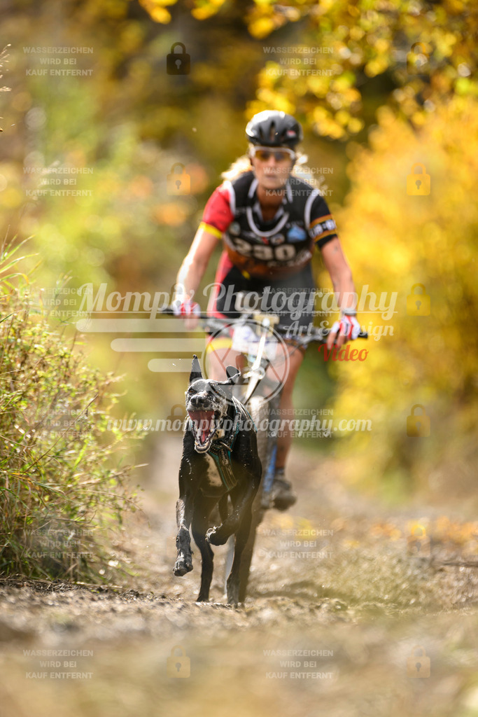 MompixPhotography_ICF_WC_2024_SA_Bike_-386 | PayLife