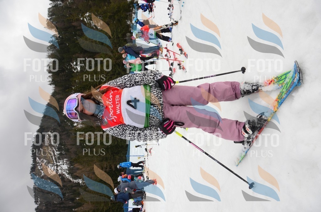 C1392 | holidayphoto