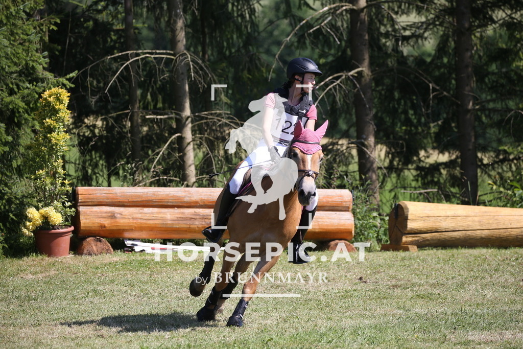 DL2Q1865 | Willkommen bei Brunnmayr - Design & Fotografie – Ihrem Spezialisten für Reitturniere und Pferdeveranstaltungen in Oberösterreich, Salzburg und Bayern! Seit über 17 Jahren sind wir leidenschaftlich dabei.