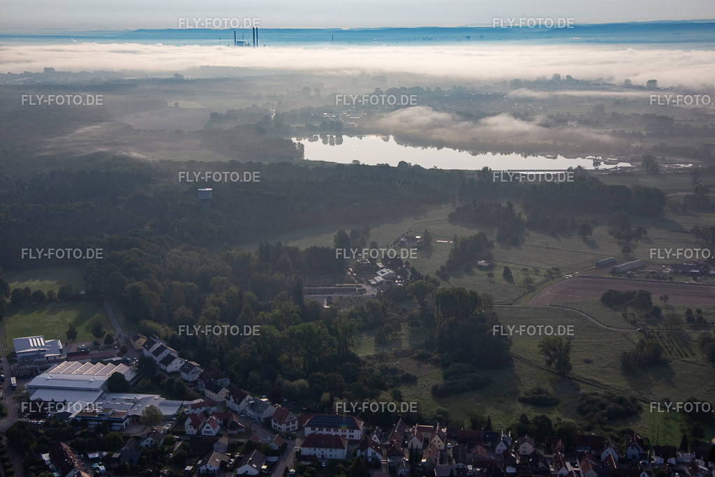 Bienwald Baumschule / Greentec | Luftbild: Bienwald Baumschule / Greentec in Berg im Bundesland Rheinland-Pfalz in Deutschland. Foto: IMG_113995.jpg vom 23.05.2019 durch Werner Riehm/FLY-FOTO.de - Realisiert mit Pictrs.com