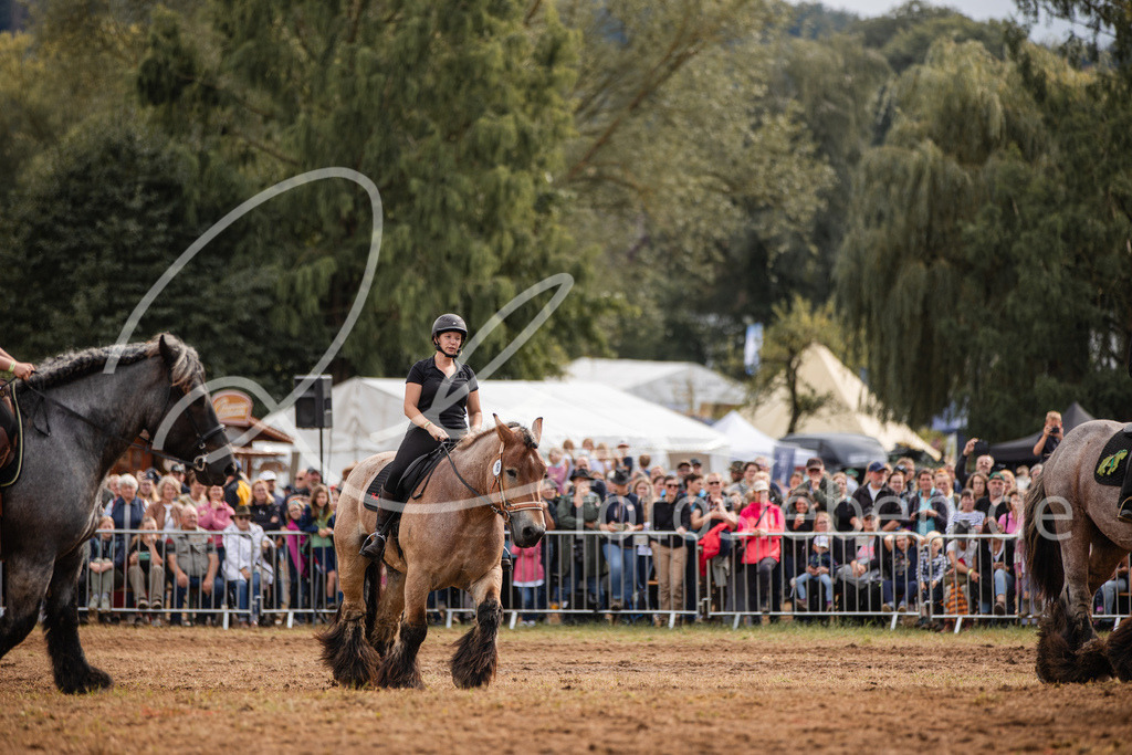 846A4062 | fotosleben - Realisiert mit Pictrs.com