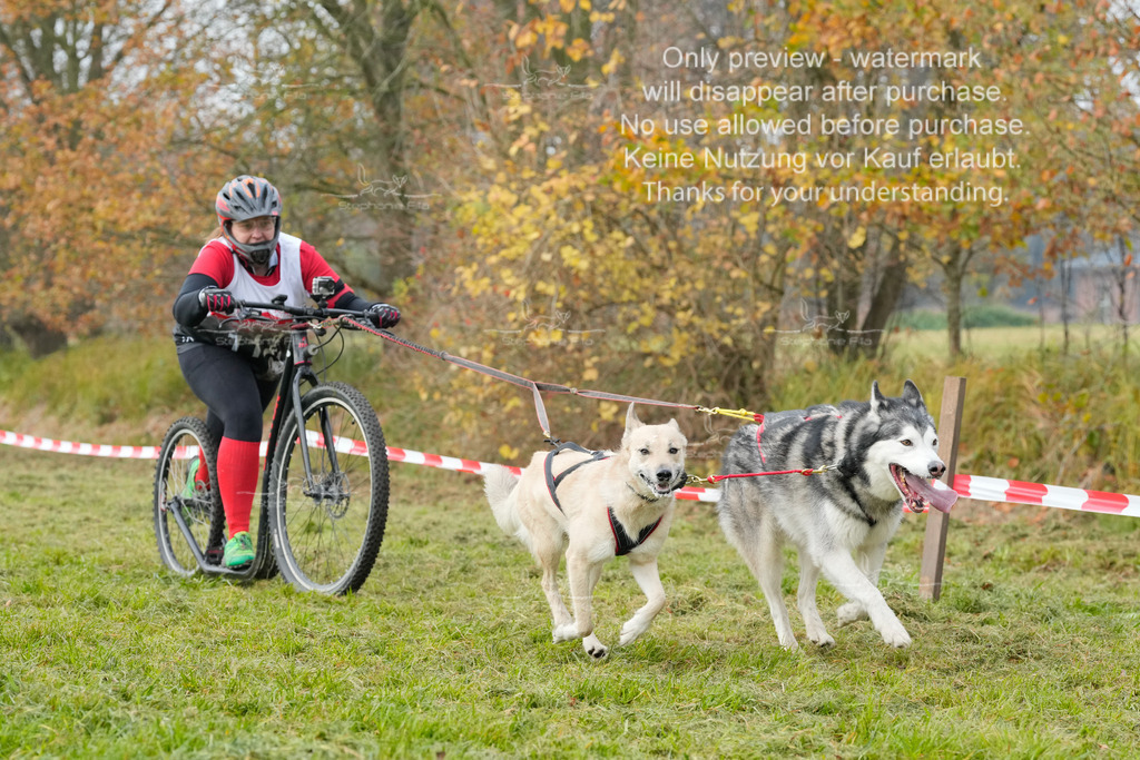 Visbeck_Sa_DS2DR2-132 | stephaniefillaphotographie - Realisiert mit Pictrs.com