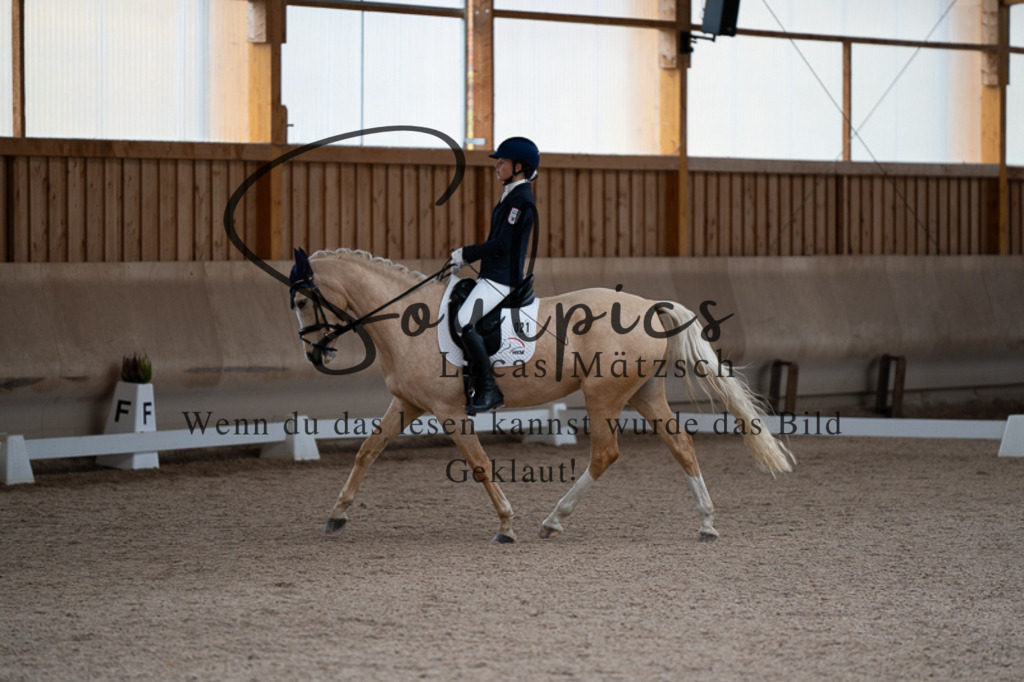 A7V02597 | Pferdefotograf