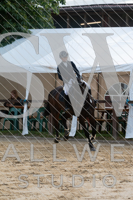 IMG_8529 | stallwerkstudio - Realisiert mit Pictrs.com