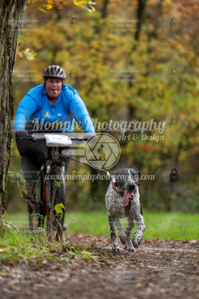 MompixPhotography_Bischwiller23_Bike-53 | PayLife