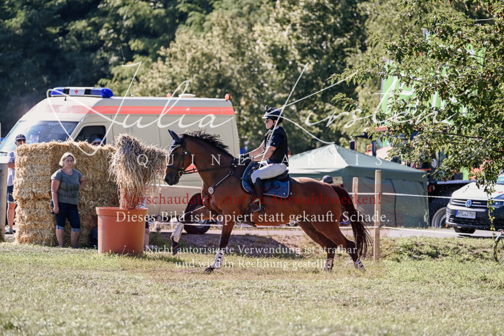 DSC_3388 | Pferde- und Turnierfotografie in Westsachsen. Pferdeportraits, Auftragszeichnungen und intuitive Kunst.
