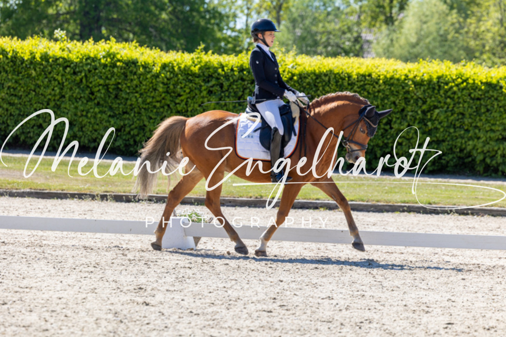7I8A1549 | melanie-engelhardt-photography - Realisiert mit Pictrs.com